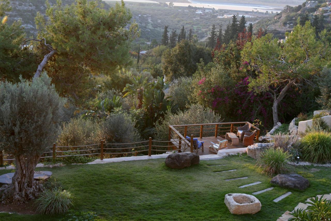 Above The Sea Villa Ein Hod Eksteriør billede
